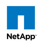 NetApp to Participate in the Morgan Stanley Technology, Media and Telecom Conference on February 25, 2013