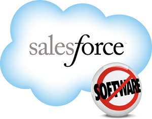 Salesforce.com 300by255 logo