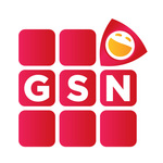 GSN Digital Announces Plans for BlogHer '13 Conference