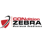 Social Media Portal interview with Drew Williams from Condition Zebra