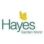 Lyndan Orvis ecommerce manager at Hayes Garden World on social media for ecommerce and retail